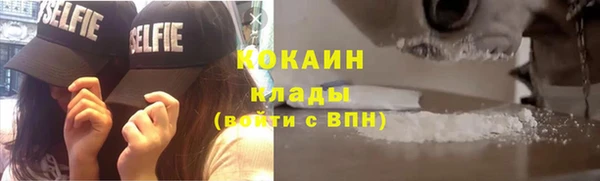дживик Вязьма