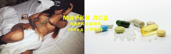 дживик Вязьма
