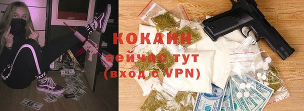 дживик Вязьма