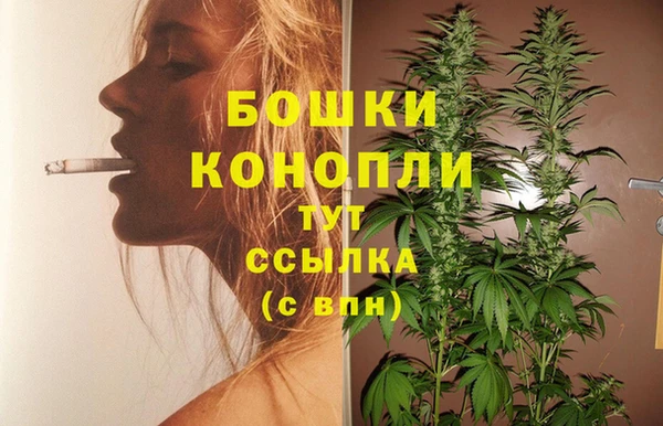 шишки Волоколамск