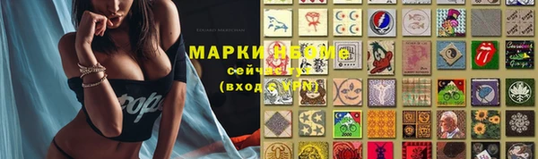 дживик Вязьма