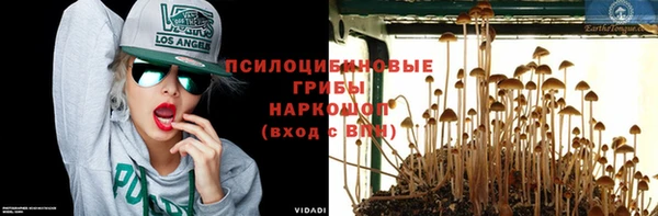 шишки Волоколамск