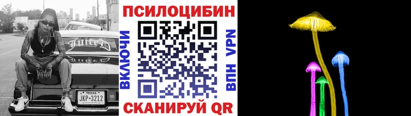 Купить  Сегежа  Псилоцибиновые грибы мицелий 